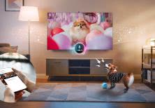 Nie tylko oglądasz - teraz telewizor opiekuje się pupilem