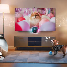 Nie tylko oglądasz - teraz telewizor opiekuje się pupilem