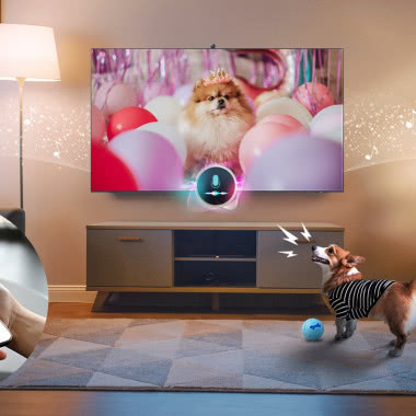 Nie tylko oglądasz - teraz telewizor opiekuje się pupilem