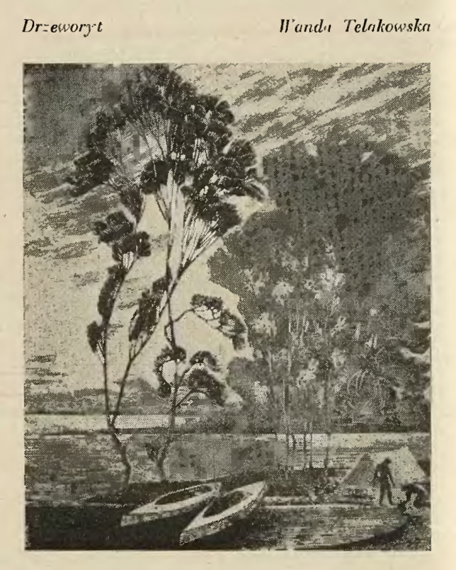 drzeworyt ukazujący drzewa