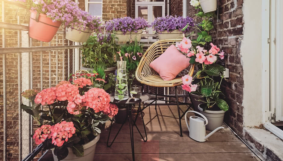 Jakie kwiaty na balkon?