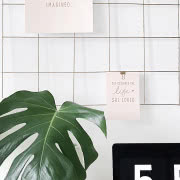 Fot. Aleksandra Giera