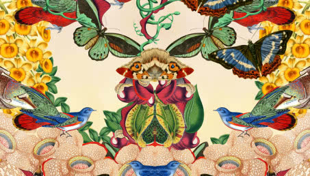 Malarze ilustracji