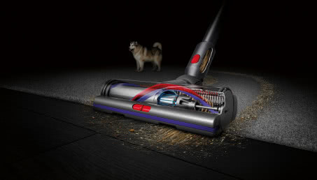 Dyson ujawnia nowe badanie na temat kurzu, biorąc pod lupę właścicieli psów i kotów