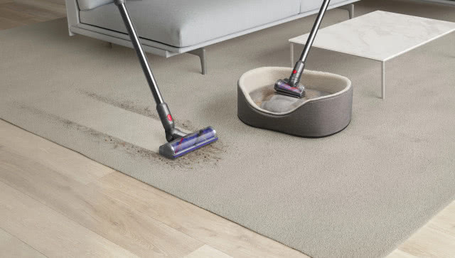 Dyson ujawnia nowe badanie na temat kurzu, biorąc pod lupę właścicieli psów i kotów