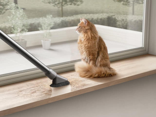 Dyson ujawnia nowe badanie na temat kurzu, biorąc pod lupę właścicieli psów i kotów