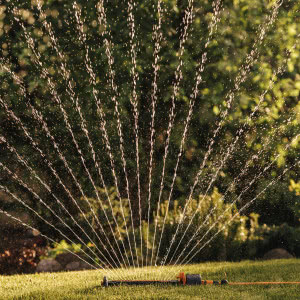 Nawodnienie ogrodu w pięciu krokach