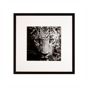 Fotografia Wild, WESTWING, 289,90 zł