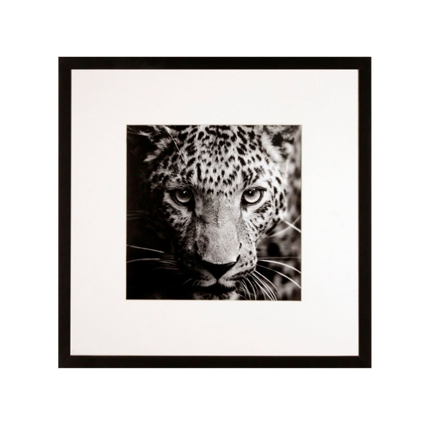 Fotografia Wild, WESTWING, 289,90 zł