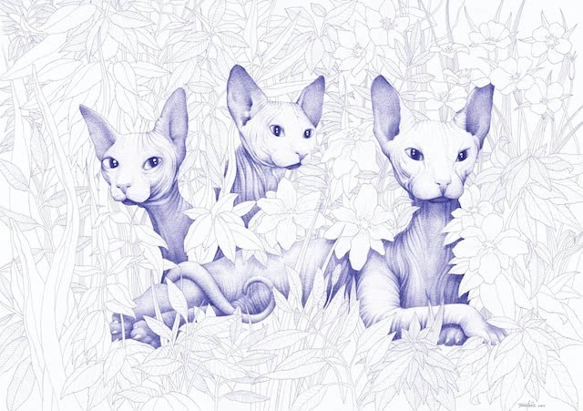 Koci kalendarz - charytatywna inicjatywa Wzorów,...