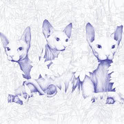 Drewniane ptaki, Dzioopla Studio