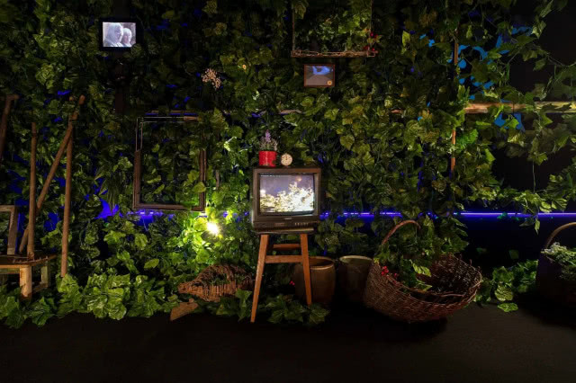 Kolektyw Tarta: Zarastanie
