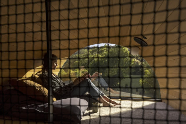 czytelnia za siatką