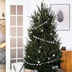 Dzień dobry choinko! - 15 świątecznych aranżacji domów