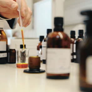 Ogród piękna Dr. Hauschka