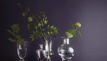 Benjamin Moore ogłosił Kolor Roku 2017