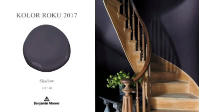 Kolor Roku 2017 Benjamin Moore - Shadow 2117-30