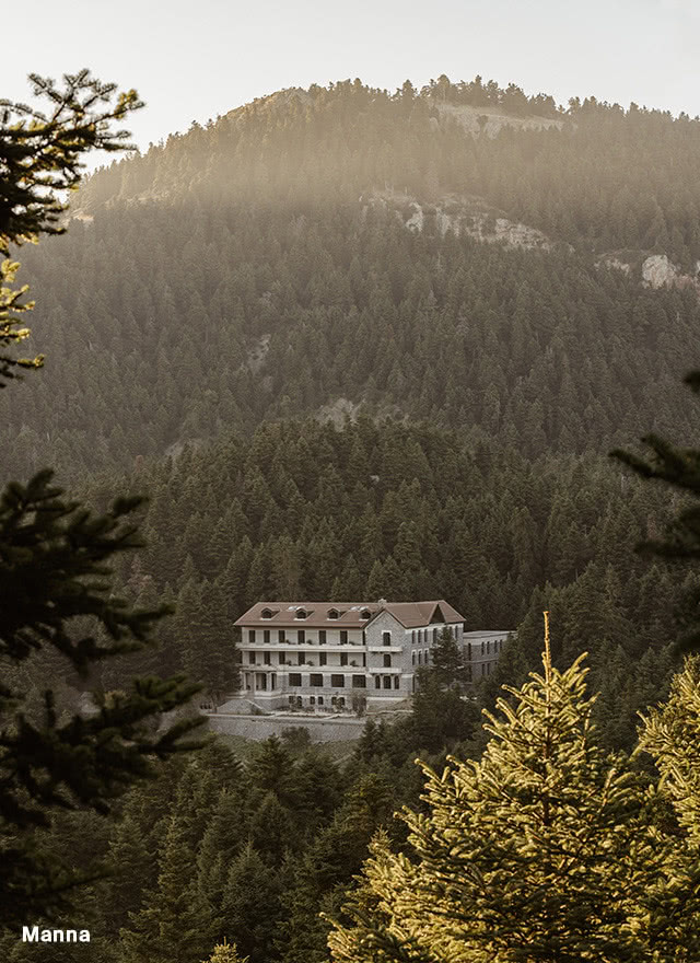 Hotel pośród drzew i lasów