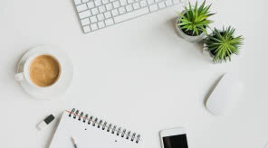 3 wyjątkowo wytrzymałe gatunki roślin doniczkowych idealne do biura