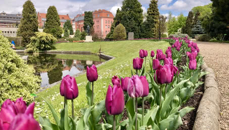 To żywe muzeum w sercu Wrocławia! Ogród botaniczny - czy warto go odwiedzić?