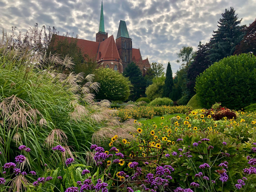 Ogród botaniczny na tle Katedry św. Jana...