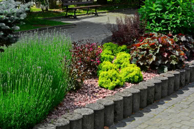 Rośliny okrywowe do ogrodu. Alternatywa dla trawnika?