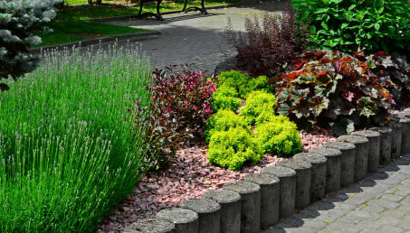 Rośliny okrywowe do ogrodu. Alternatywa dla trawnika?