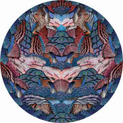 System półek Dojo zaprojektował Marcel Wanders,...