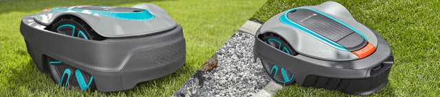 Ogród dla leniwych lub zapracowanych