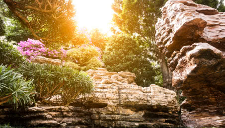 Ogród dla leniwych lub zapracowanych