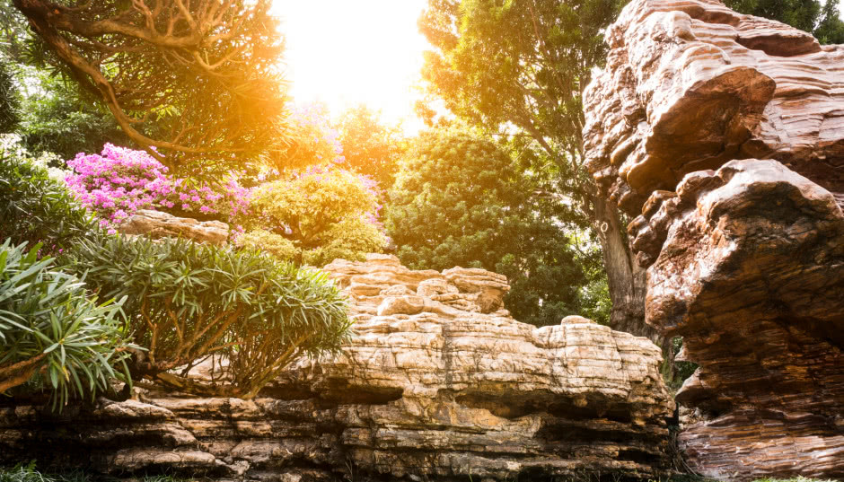 Ogród dla leniwych lub zapracowanych