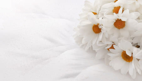 Symbolika kwiatów - sprawdź, co oznaczają najpopularniejsze gatunki roślin!