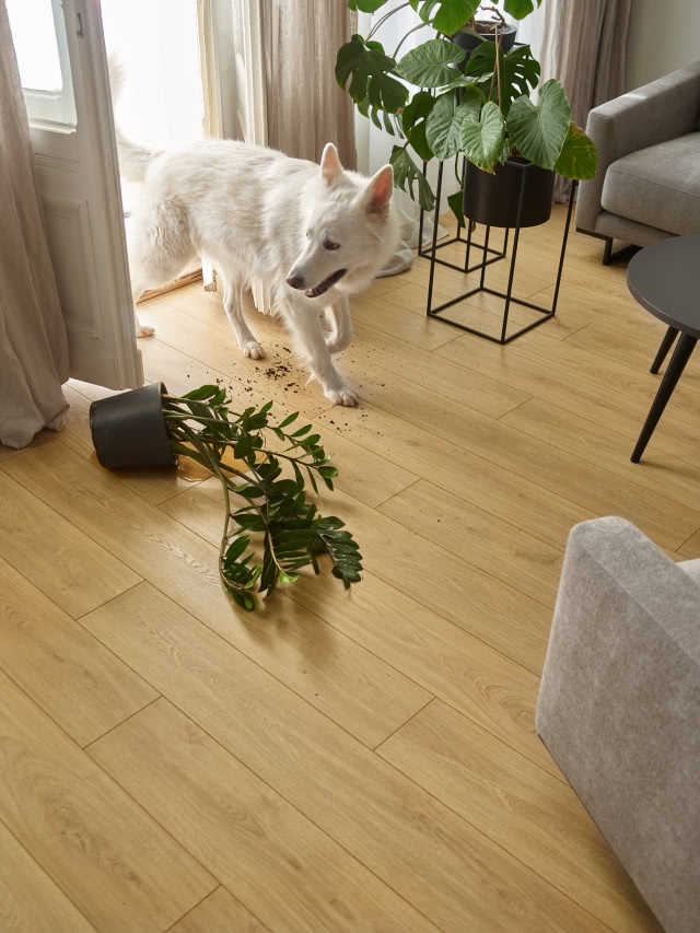 Chcesz odmienić swoje wnętrze? Zacznij od podłogi -  efekt Cię zaskoczy