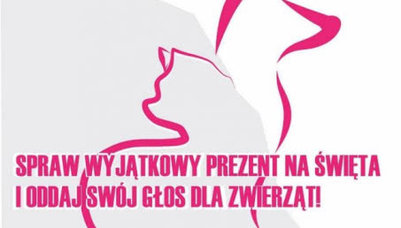 Design Dla Zwierząt 2016 - ostatnie dni licytacji!
