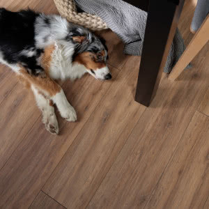 Chcesz odmienić swoje wnętrze? Zacznij od podłogi -  efekt Cię zaskoczy