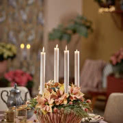 Grudnik kwitnie na Boże Narodzenie.