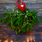 Grudnik kwitnie na Boże Narodzenie.