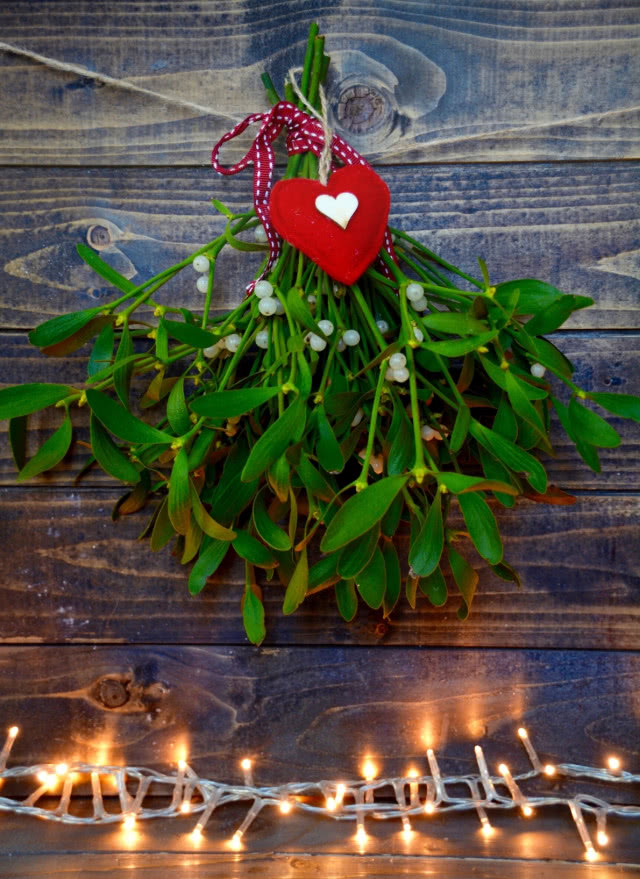 jemioła zawieszona na ścianie