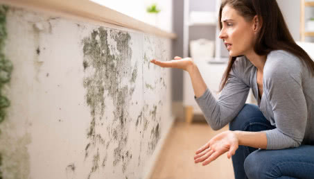 Grzyb i pleśń na ścianie - jak usunąć? Oto skuteczne sposoby i preparaty