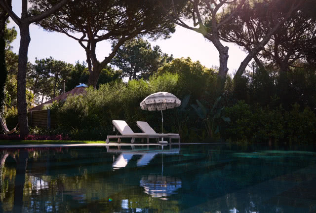 Basen wśród bujnej zieleni