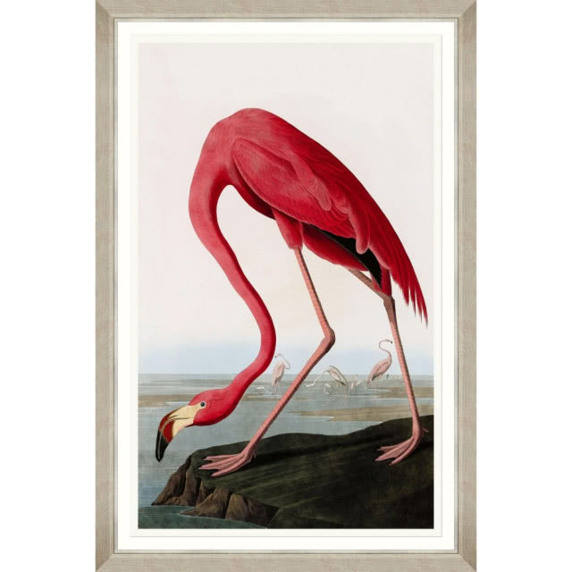 Dekorian Home_MindTheGap_american-flamingo-by-audubon-60x90cm
