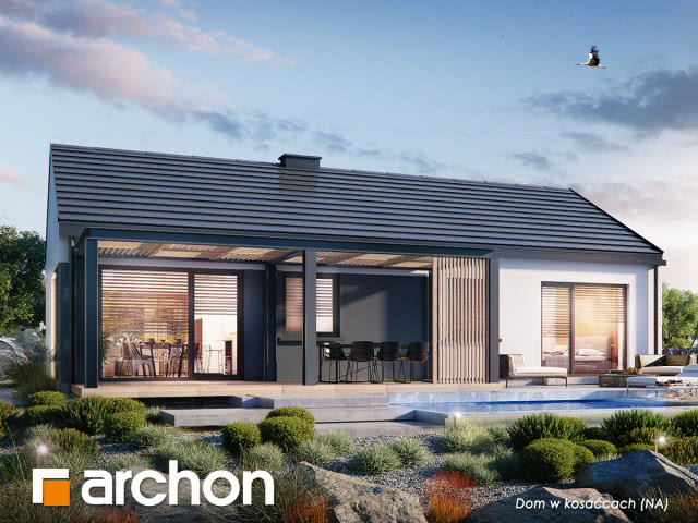 Dom w Kosaćcach (NA), ogród, taras, basen, dron