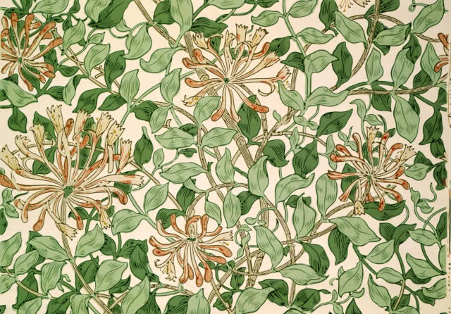 tapeta z chryzantemami