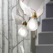 Białe wnętrza i kolorowy design