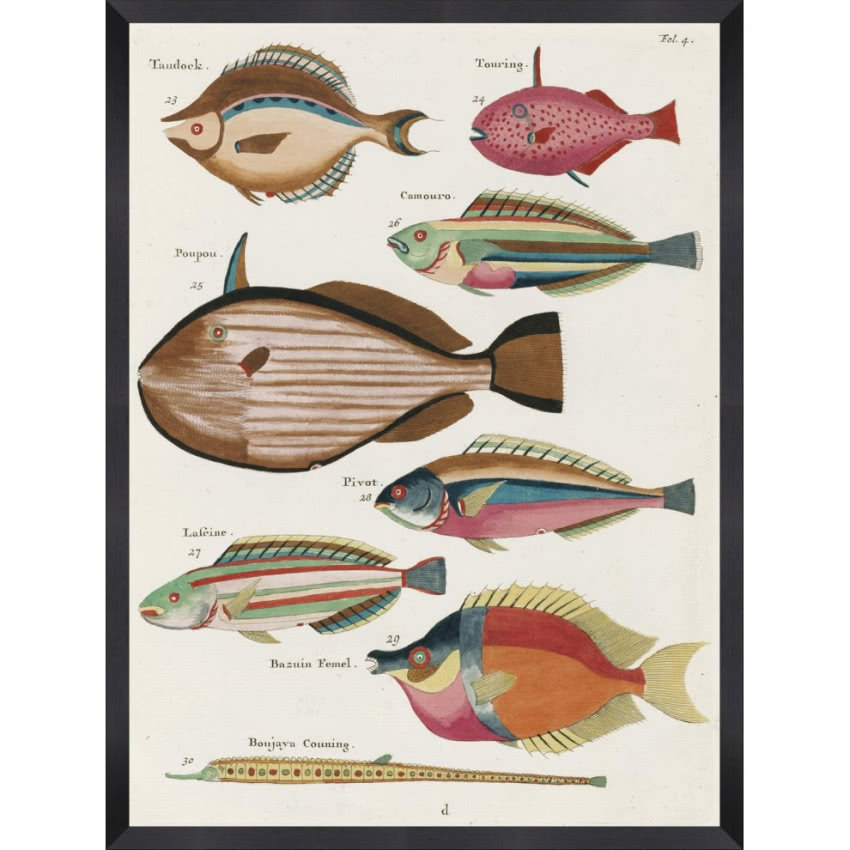 Dekorian Home, MindTheGap, Poissons ecrevis, 60...