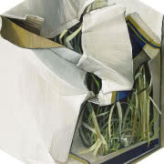 Katarzyna Bąkowska-Roszkowska, z cyklu "Zagadki...