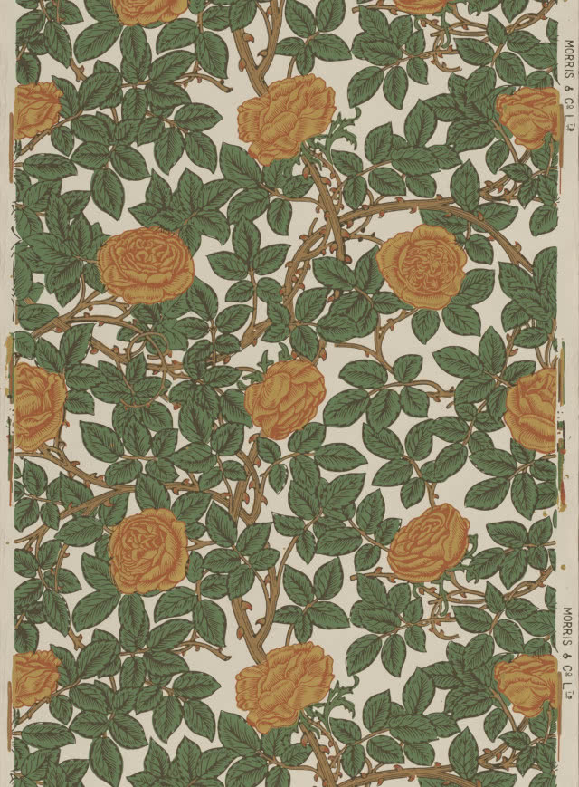 tapeta z motywem róż