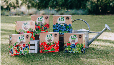 Zrównoważone ogrodnictwo - 5 zielonych zasad