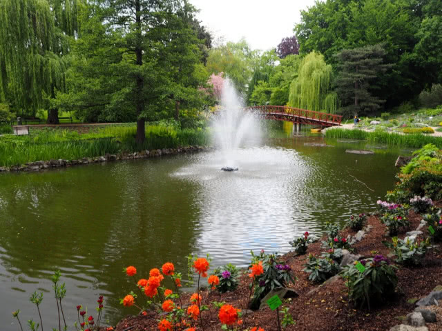 staw w ogrodzie z fontanną