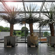 Roberto Cavalli, Versace, Fendi, Lamborghini... Karnawał designu